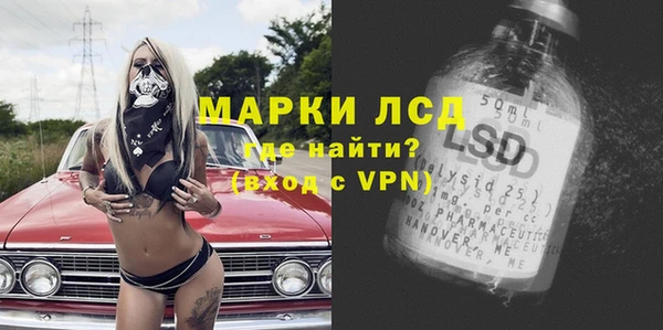 стаф Вязьма