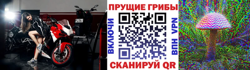 Галлюциногенные грибы Psilocybe Джанкой