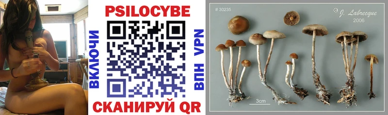 Псилоцибиновые грибы Psilocybe  Джанкой 