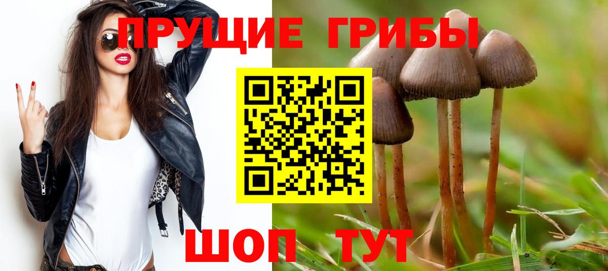 Галлюциногенные грибы ЛСД  Джанкой  Галлюциногенные грибы Psilocybine cubensis 