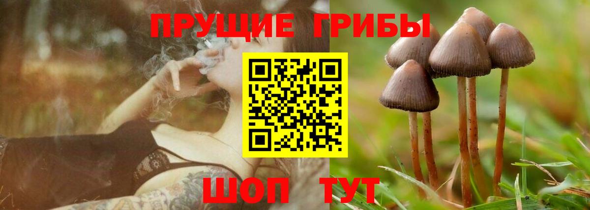 Псилоцибиновые грибы GOLDEN TEACHER Джанкой