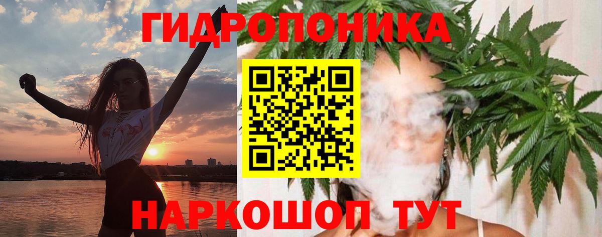 МАРИХУАНА план  Бошки Шишки сатива  Джанкой  Канабис Bruce Banner 